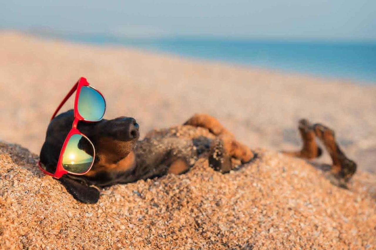 Villaggio Turistico Camping Il Fontino Scarlino Bagian luar foto